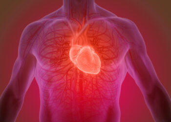 Testosterone and the Heart